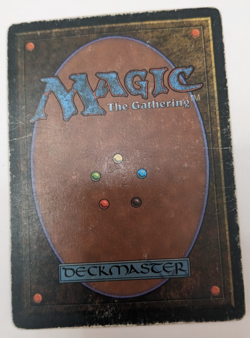 Plateau Revised Edition Regular - Image 4