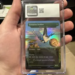 CGC 9.5 MTG African European Swallow Birds Of Paradise FOIL Monty Python SL 1675 - Image 5