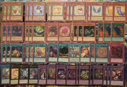 Fluffal Frightfur Deck With Extras : Casual Yu-Gi-Oh Deck - Image 1