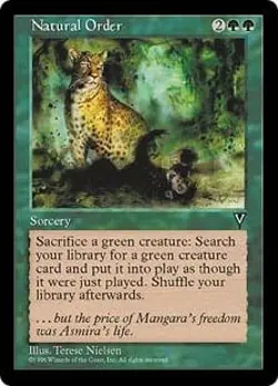 Magic MTG - Natural Order - Visions - EXC - EN - Image 1