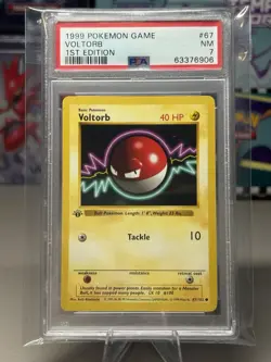 Voltorb #67/102 - Shadowless - 1st Edition - PSA 7 - Pokemon TCG | Base Set - Image 1