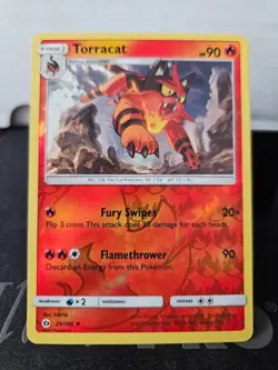 Torracat - 25/149 - Reverse Holo Uncommon - Sun & Moon Base - Pokemon Card - Image 1