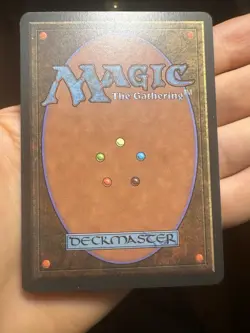 German FBB • Misprint Wald "Forest Plains" • NM / Unplayed • Mtg (862) - Image 5