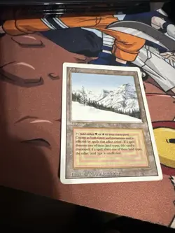 MTG Taiga Revised Edition Regular Rare - Image 1