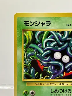 No Rarity! Tangela Base Set 1st Edition Common Japanese Pokemon LP! - Image 4