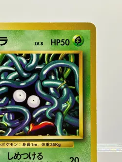 No Rarity! Tangela Base Set 1st Edition Common Japanese Pokemon LP! - Image 5