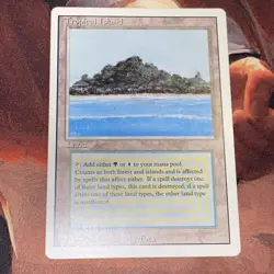 Tropical Island X1 Mtg Revised Lp/Mp - Image 1
