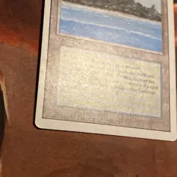 Tropical Island X1 Mtg Revised Lp/Mp - Image 3