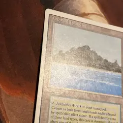 Tropical Island X1 Mtg Revised Lp/Mp - Image 4