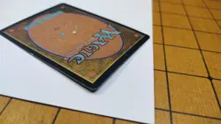 MTG - Early Harvest - FOIL - 7th Edition - Lightly Played LP Magic The Gathering - Image 4