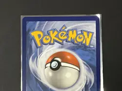 Pokemon TCG | Terapagos ex 173/142 | Sv07: Stellar Crown | Gold Holo | NM/Mint - Image 5