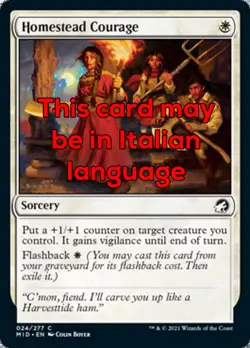 MTG 4x HOMESTEAD COURAGE EXC - CORAGGIO CONTADINO - MID - MAGIC - Image 1