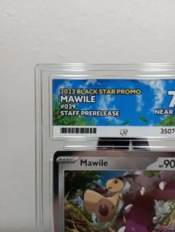 BGS 9 Mawile STAFF Promo #039 2023 Pokemon Obsidian Flames Prerelease Beckett - Image 3