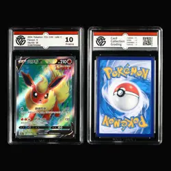 CCG Nintendo 2024 Pokemon PTCG CHN . card 8PCS - Image 3