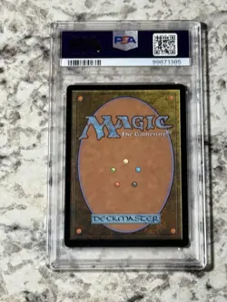 Squirrel Mob Borderless BLC #85 PSA 10 (MTG Bloomburrow 2024) - Image 2