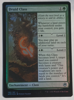 Druid Class x1 Foil AFR Forgotten Realms MTG Magic the Gathering - Image 1