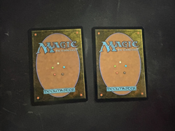 2x Wan Shi Tong, Librarian - Avatar - TLA MTG - Image 2