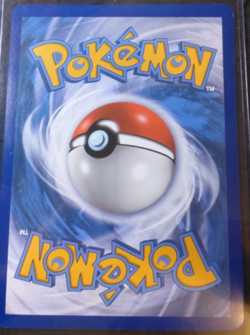 2019 POKEMON HIDDEN FATES CHARIZARD GX SM211 BLACK STAR PROMO~BIG JUMBO TOPPER - Image 2