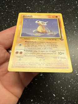 Carte Pokemon Wizards Osselait 50/64 Jungle Edition 2 Francais Vf Fr - Image 4