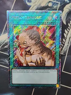 Yu-Gi-Oh! Metamorphosis RA04-EN123 Platinum Secret Rare Quarter Century Stampede - Image 1