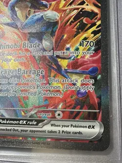 2024 POKEMON GRENINJA EX TWILIGHT MASQUERADE SPECIAL ILLUSTRATION #214/167! MINT - Image 4