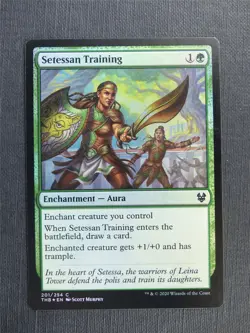 Setessan Training Foil - Mtg Magic Cards #39L - Image 1