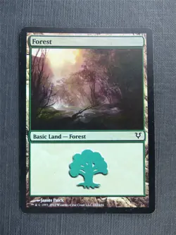 Forest 242/244 Foil - Mtg Magic Cards #522 - Image 1