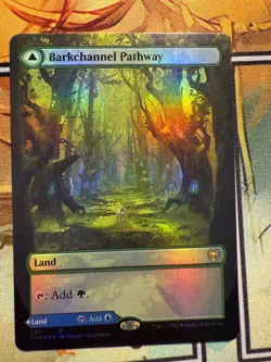 Barkchannel Pathway (Borderless): Kaldheim, FOIL, #290 - Image 1