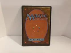 MTG Joven's Ferrets Homelands Common Near Mint NM - Image 2