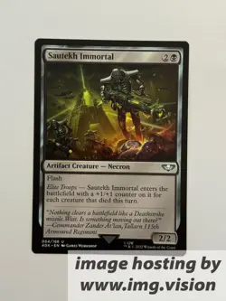 Sautekh Immortal (40K) 54 - Image 1