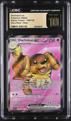 DACHSBUN EX Stellar Crown Full Art Rare #160 CGC Pristine 10 Pokemon - Image 1