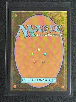 MTG Secret Lair Encyclopedia of Magic the Gathering Wasteland RARE - Image 2