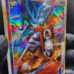 Pokemon Suicune & Entei Legend Custom Made Fan Art Holo - Image 2