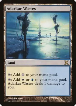 Adarkar Wastes [Tenth Edition] Magic MTG - Image 1