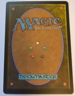 {1x} ~ Snow-Covered Forest ~ *Foil* LP 155/155 Coldsnap Jim Nelson *Startropic* - Image 3