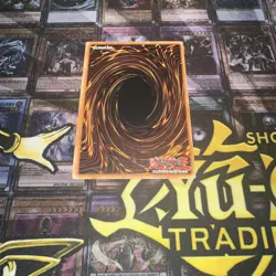 Yu-Gi-Oh! Dark Paladin MFC-105 Ultra Rare MP CORRECTED ART Unlimited - Image 3