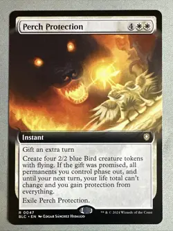 MTG / Perch Protection / BLC / #47 / Regular (Extended Art) / Rare / NM - Image 1