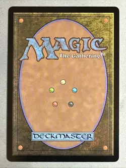 MTG / Perch Protection / BLC / #47 / Regular (Extended Art) / Rare / NM - Image 2