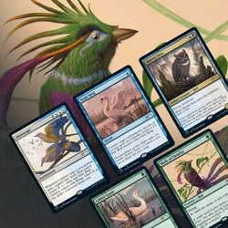 MTG Secret Lair - Ornithological Studies - 2020 - Factory Sealed - Image 1