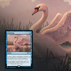 MTG Secret Lair - Ornithological Studies - 2020 - Factory Sealed - Image 4