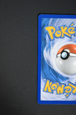 Garchomp 120/116 - B&W Plasma Freeze Secret Rare - Pokemon Card TCG - LP - Image 5