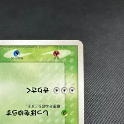 Treecko 037/PCG-P Promo Yokohama Pokemon Center Japanese Pokemon Card #CDA4 - Image 5