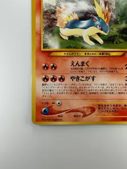 Pokemon Card Quilava No.156 Pocket Monsters Japanese Ver. Japan Old Back T217 - Image 4