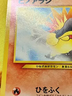 Cyndaquil No.155 #16 Intro Pack Pokemon card Neo Chikorita mark Japanes #2405 - Image 5