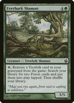 1x Everbark Shaman - NM English MTG - Morningtide - Image 1