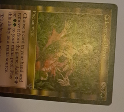 Cadaverous Bloom MP MTG Magic the Gathering Mirage - Image 3