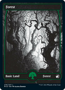 Forest (276) Innistrad: Midnight Hunt NM Basic Land MAGIC MTG CARD ABUGames - Image 1