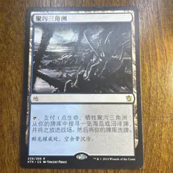 Polluted Delta (ZHS) KTK S-Chinese LP MTG - Image 1