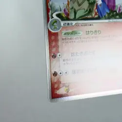 LP-) Ludicolo Delta 014/075 Miracle Crystal Pokemon Card Japanese y722-3 - Image 5