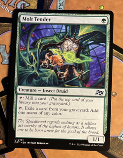 Molt Tender [Aetherdrift] Magic MTG - Image 1